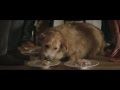 Spot IKEA France L Important C Est De Recevoir Fauna Y Acción
