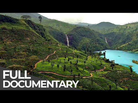 Somewhere on Earth: Sri Lanka