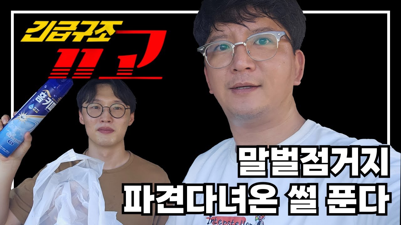 [앵커일상] 긴급구조 11고 말발점거상황 파견나간 썰 푼다 [#말벌퇴치#회사일상]