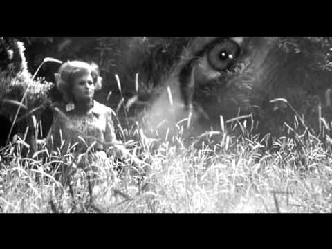 Il terzo occhio_fragment