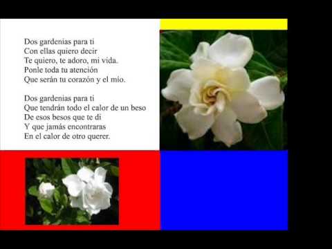download lagu mp3 mp4 Isolina Carrillo, download lagu Isolina Carrillo gratis, unduh video klip Isolina Carrillo