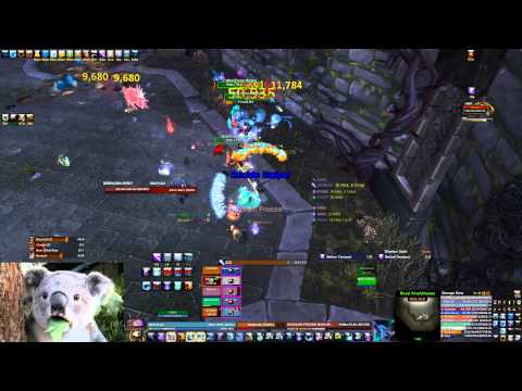 Throne of Thunder 10H - Horridon