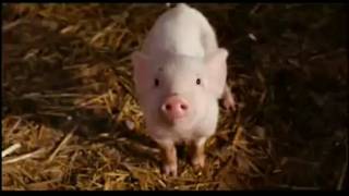 Sarah McLachlan-Ordinary Miracle with bulgarian subtitle