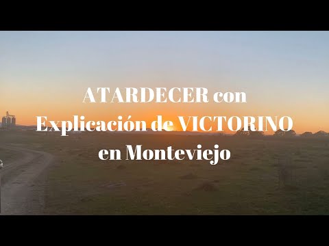 Atardecer en Monteviejo