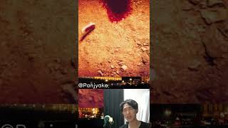 ジャンプスケアでぶっ飛ぶ | #panjyako (#Twitch)  #ゲーム実況 #ゲーム配信 #ホラー #ウツロマユ #horror #anime