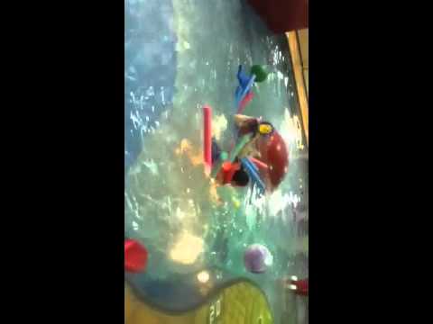 Justin Joe at Britannia