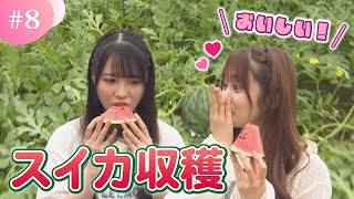 [閒聊] 本日行程與閒聊 230614