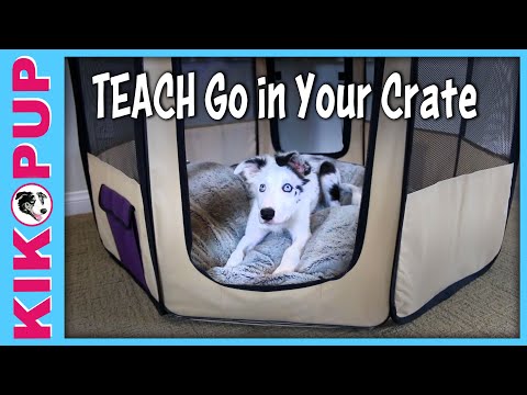 What is Clicker Training