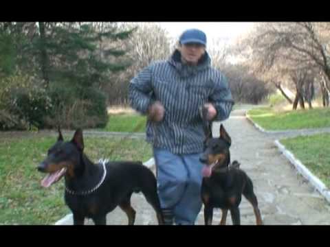 Sistah 187- Vse Na Puk (Born Killa Entertainment)