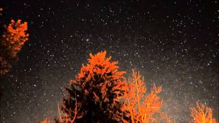 Recoil - Edge To Life (2010 Remastered Edition)