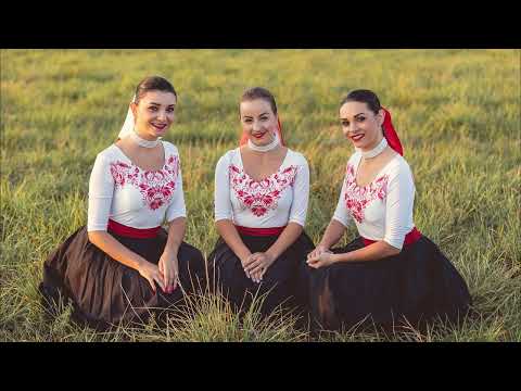 Leci holub - Krasotky & ĽH Stana Baláža