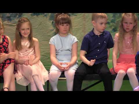 028 Roosi Põllu "Kalakene"