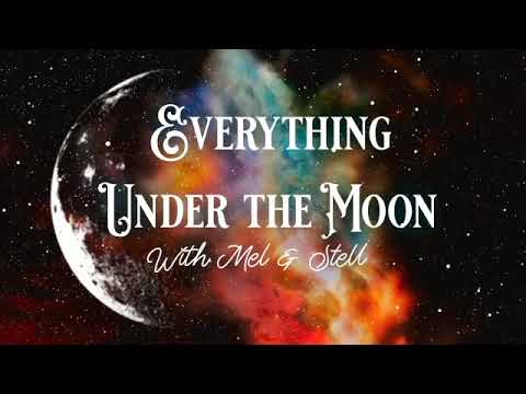 Conspiracy Shelf 1: Sight Unseen by Budd Hopkins and Carol Rainey