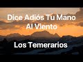 Los Temerarios - Dice Adiós Tu Mano Al Viento - Letra