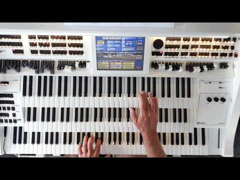 Michaela - Bata Illic - Cover Musikwunsch an der Wersi Louvre