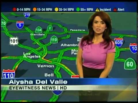 Sigalert Web Mov
