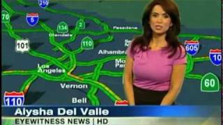 Sigalert-web.mov