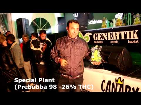 Canary Island Cup 2015