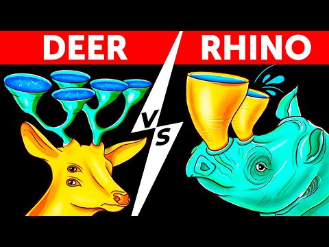 What Animals On Earth Will Look Like In a Million Years