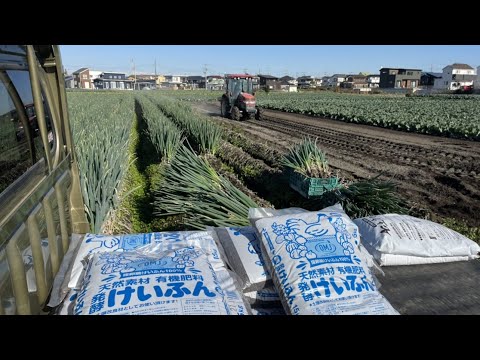 , title : '【肥料高騰、肝心な土作り】僕は長年この方法で肥料を減らし続けたが良い野菜を作ることが出来ている　21/11/26'