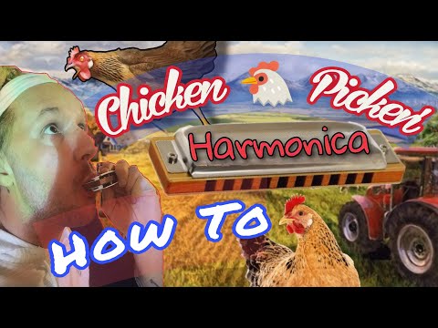 Fast Chicken ???? Picking Harmonica Lesson