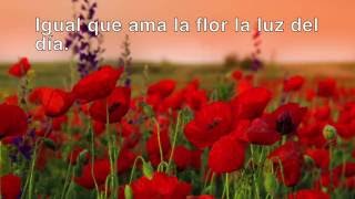 Amapola - Andrea Bocelli - Leyenda en Español