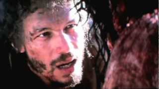 &quot;Roses&quot; by The Rocket Summer (The Thorns You Wear...)