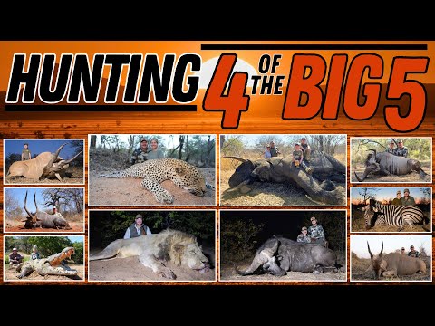 Thrilling Big 5 Hunt in Zimbabwe | Family Adventure with Cliff Walker