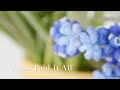 184 SDA Hymn - Jesus Paid It All (Singing w/ Lyrics)