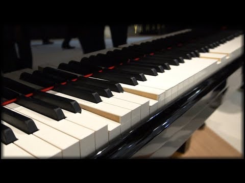 Dieses Klavier spielt ganz von alleine | Yamaha Enspire