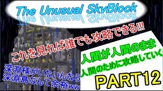 【ゆっくり実況】誰でもスカイブロック亜種  part 12