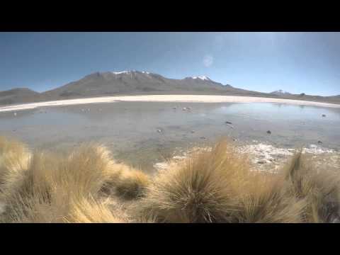 EAAF Nature Reserve 4x4 Go Pro