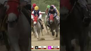 또15배적중,3-4복연승 3번 배당마