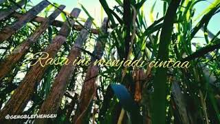 Download lagu Story Whatsapp Baper | Ana Uhibbuka Fillah mp3 Download lagu Story Whatsapp Baper | Ana Uhibbuka Fillah mp3