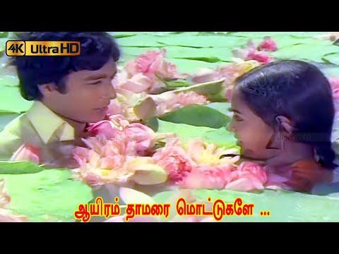 ஆயிரம் தாமரை மொட்டுகளே பாடல் | aayiram thamarai mottukkale song | Janaki | Spb | Karthik, Radha Song