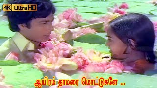 Download lagu ஆயிரம் தாமரை மொட்டுகளே பாடல் | aayiram thamarai mottukkale song | Janaki | Spb | Karthik, Radha Song mp3 Download lagu ஆயிரம் தாமரை மொட்டுகளே பாடல் | aayiram thamarai mottukkale song | Janaki | Spb | Karthik, Radha Song mp3