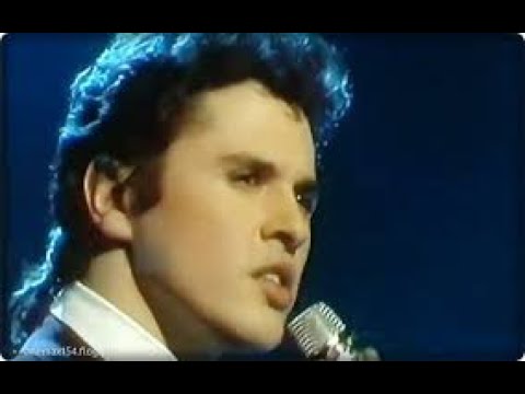 Fancy..,F.R David..,Gazebo..,Alphaville..- 80s Hits - Mix