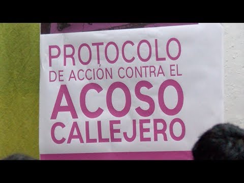 Video: Presentaron un protocolo de acción sobre acoso callejero