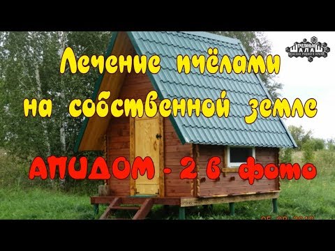 АПИДОМ - 2  В ФОТО.  ЛЕЧЕНИЕ ПЧЁЛАМИ. АПИТЕРАПИЯ.