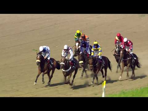 PE, 23. 6. 2019, 5. dostih - Cena města Pardubic – II. kvalifikace na 129. Velkou pardubickou