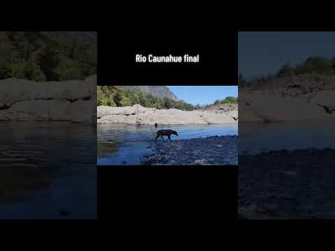 rio Caunahue región de los ríos