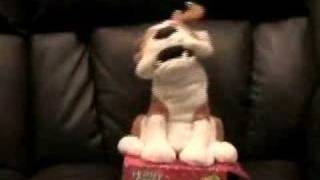 Possessed Christmas Dog