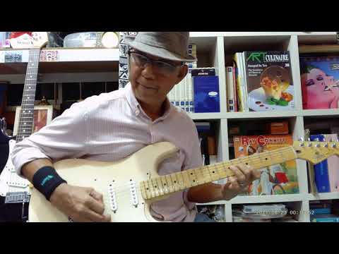 BACK HOME - The Shadows. Cover by Cms.