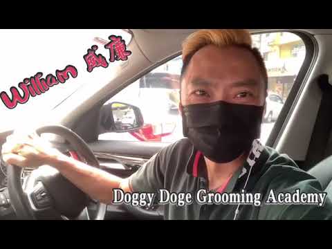 创造崭新的宠物美容师技术学院