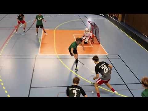 Konstmål av David Carrington Småland (Innebandy/Floorball)