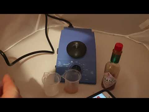 Using a vortexer to mix a chilli sample fo ranalysis on the chilli sensor