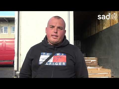 Na Broniszach inflacji nie widać. Szokująco tanie śliwki i kiepskie ceny jabłek dobijają sadowników