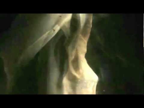 SALOME' - Mario Castelnuovo -