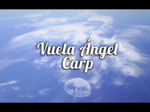 Vuela Ángel Carp | Emmafly [TAB] | KamotePoblaciones