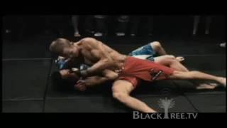 Cartel de Santa   Warrior  Never back down 1  2   Undisputed 3